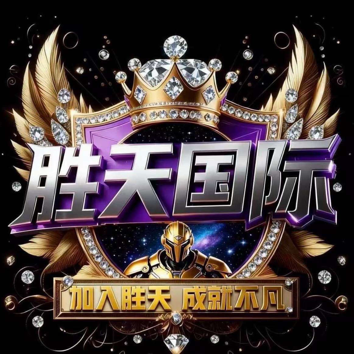 胜天国际